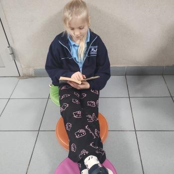 IMG_20250131_114405233