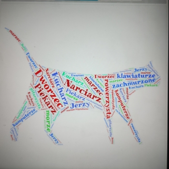 IMG_20250205_112229128