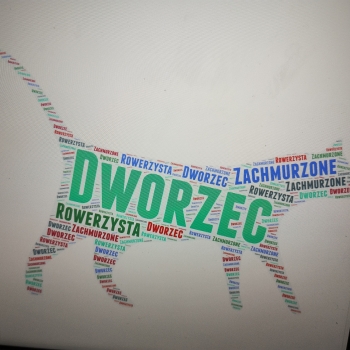 IMG_20250205_112642827