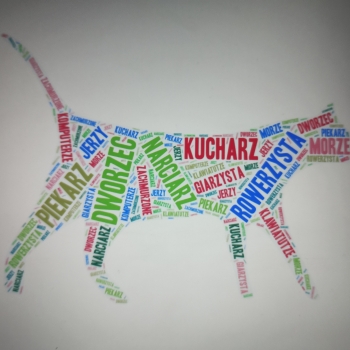 IMG_20250205_111830383