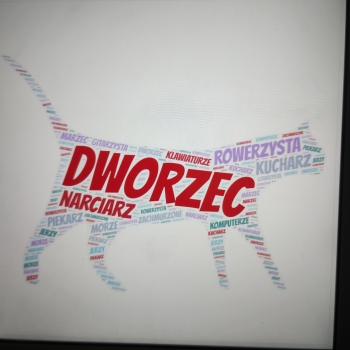 IMG_20250205_112141523