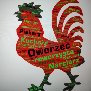 IMG_20250205_112947857