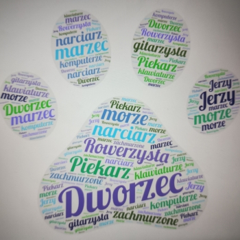 IMG_20250205_112845222