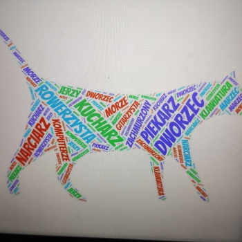 IMG_20250205_112114053