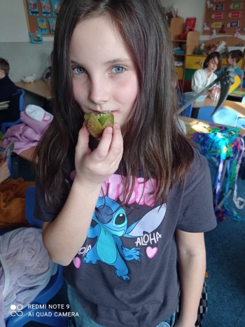 482700651_602967006064906_7551826190401736814_n