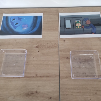 IMG_20250409_085811175