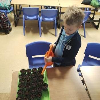 IMG_20250411_144120464