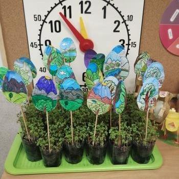 IMG_20250415_134733234