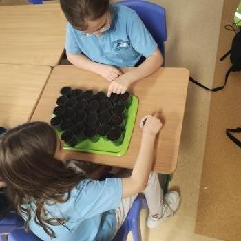 IMG_20250411_142333903