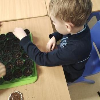 IMG_20250411_142533419