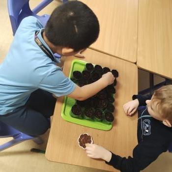 IMG_20250411_142557294