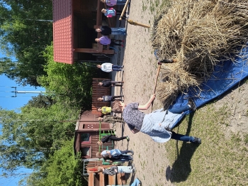 IMG_20250430_092247187_HDR