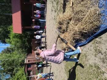 IMG_20250430_092955433_HDR