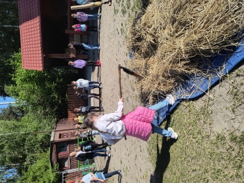 IMG_20250430_092810048_HDR