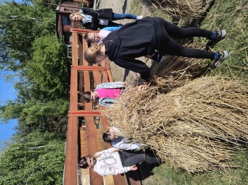 IMG_20250430_093325440_HDR