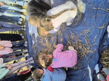 IMG_20250430_093515370_HDR