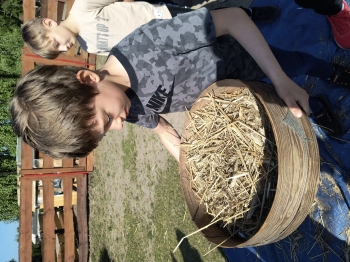 IMG_20250430_093945076_HDR