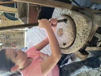 IMG_20250430_105146438_HDR