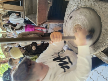 IMG_20250430_105443973_HDR