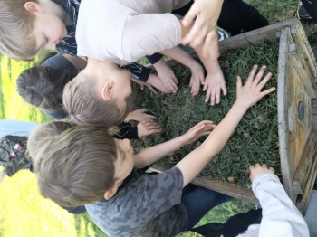 IMG_20250430_122234145_HDR