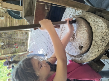 IMG_20250430_105134719_HDR