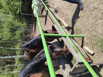 IMG_20250430_123852841_HDR