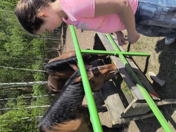 IMG_20250430_123921538_HDR