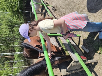 IMG_20250430_123930426_HDR