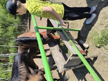 IMG_20250430_123905002_HDR