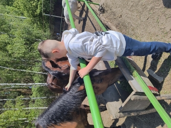 IMG_20250430_123913155_HDR