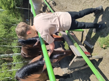 IMG_20250430_123947104_HDR