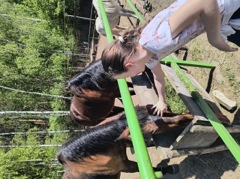 IMG_20250430_124023492_HDR