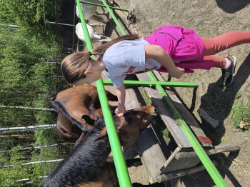 IMG_20250430_123940273_HDR