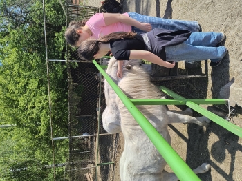 IMG_20250430_124137654_HDR