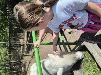 IMG_20250430_124219796_HDR