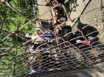 IMG_20250430_124308899_HDR