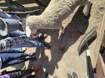 IMG_20250430_124622661_HDR