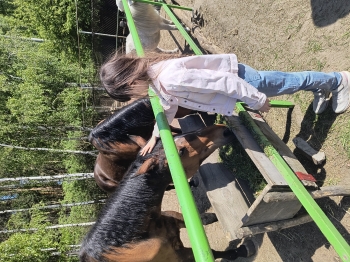 IMG_20250430_124058144_HDR