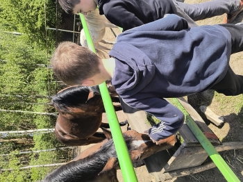 IMG_20250430_124103762_HDR