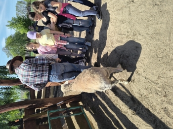 IMG_20250430_124349937_HDR