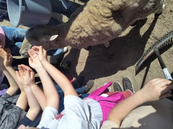 IMG_20250430_124700026