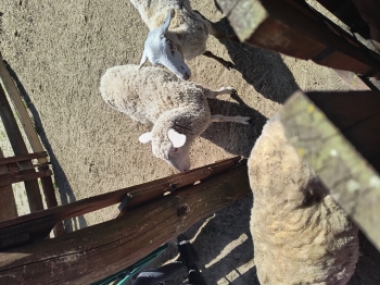 IMG_20250430_124718278_HDR