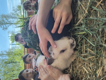 IMG_20250430_124946815_HDR