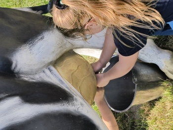 IMG_20250430_130400568_HDR