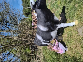 IMG_20250430_130523020_HDR