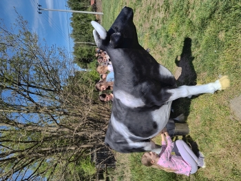 IMG_20250430_130525350_HDR