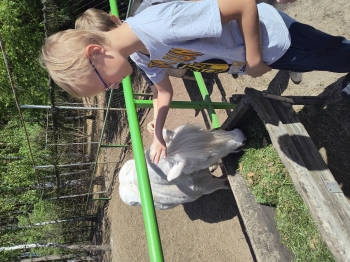 IMG_20250430_124153576_HDR