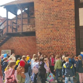 IMG_20250507_101330846_HDR