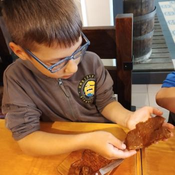 IMG_20250507_123033144