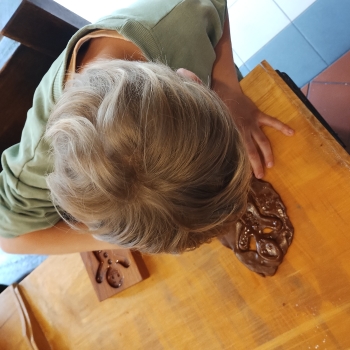 IMG_20250507_122943624